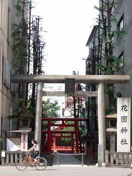 Hanazono-jinja-torii.jpg